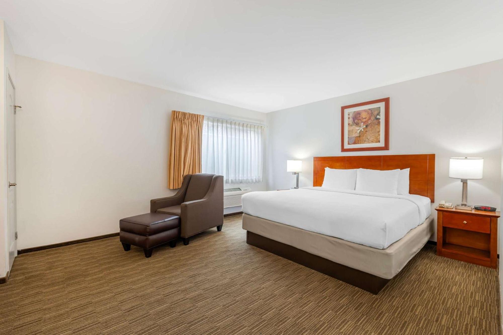Comfort Inn Cockatoo Near Lax Airport Hawthorne Eksteriør billede