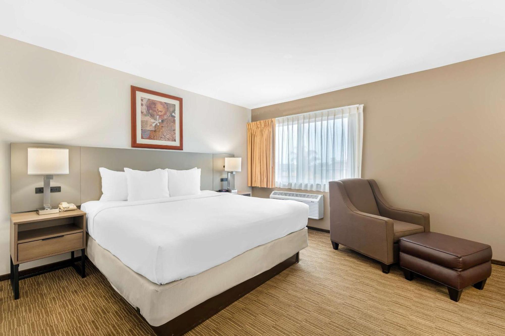 Comfort Inn Cockatoo Near Lax Airport Hawthorne Eksteriør billede