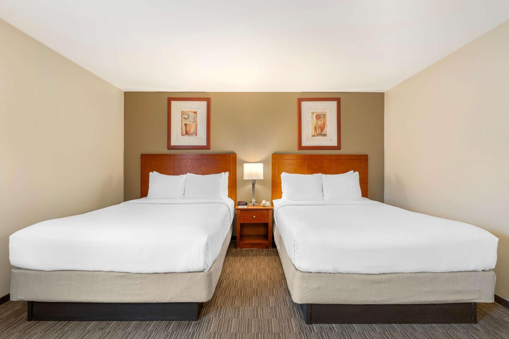 Comfort Inn Cockatoo Near Lax Airport Hawthorne Eksteriør billede