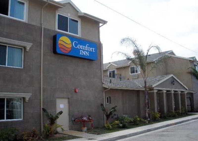 Comfort Inn Cockatoo Near Lax Hawthorne Eksteriør billede